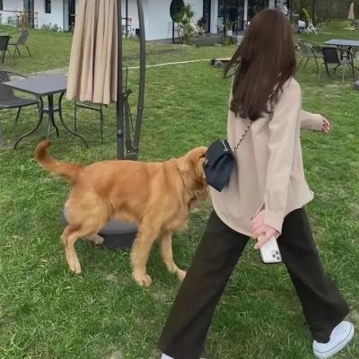 老爷潜艇少爷兵